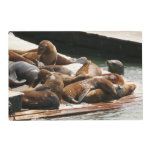 Sunning Sea Lions in San Francisco Placemat