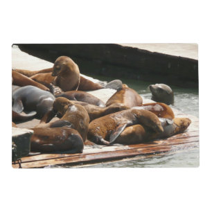 Sunning Sea Lions in San Francisco Placemat