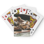Sunning Sea Lions in San Francisco Poker Cards