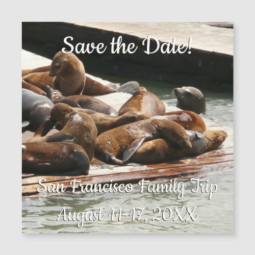 Sunning Sea Lions in San Francisco Save the Date