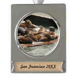 Sunning Sea Lions in San Francisco Silver Plated Banner Ornament