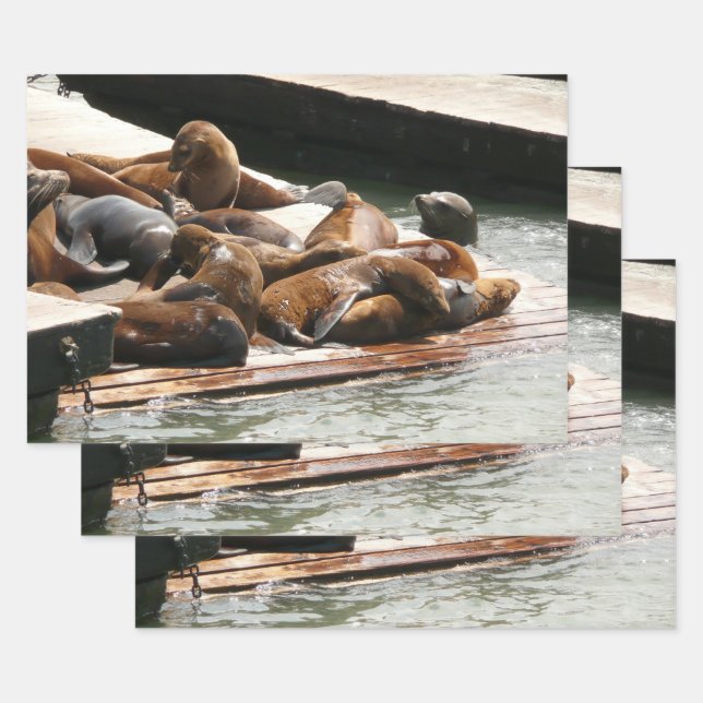 Sunning Sea Lions in San Francisco Wrapping Paper Sheets (Set)