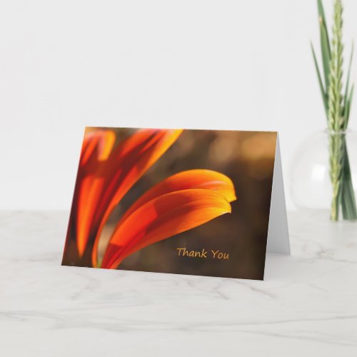 Sunny Afternoon Thank You Note Card