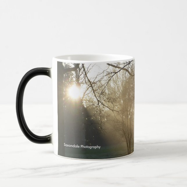 'Sunny Ancient Trees' Mug (Left)