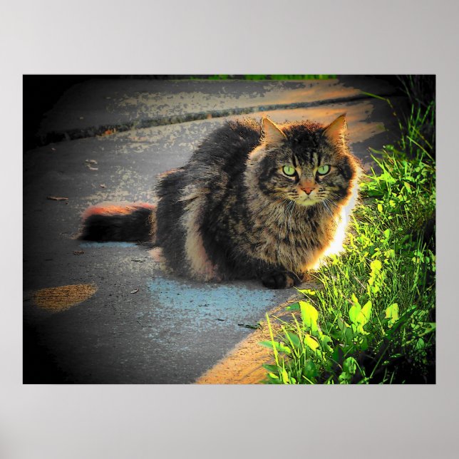 Sunny and Cold Grumpy Angel Cat by djoneill Poster (Front)