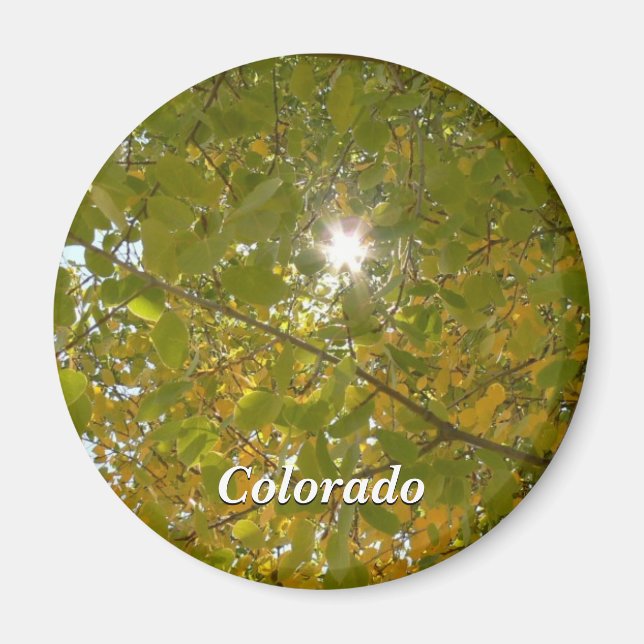 Sunny Aspen Magnet (Front)