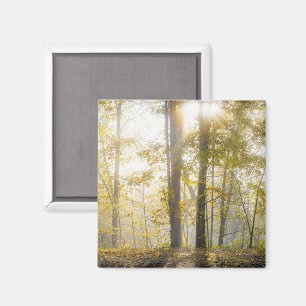 Sunny autumn park, photo magnet