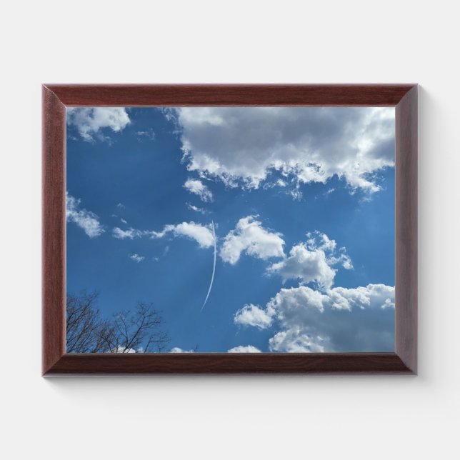 Sunny Award Plaque (Horizontal)