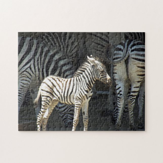 Sunny Baby Zebra Jigsaw Puzzle (Horizontal)