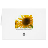 Sunny Bees Cards (Back Horizontal)