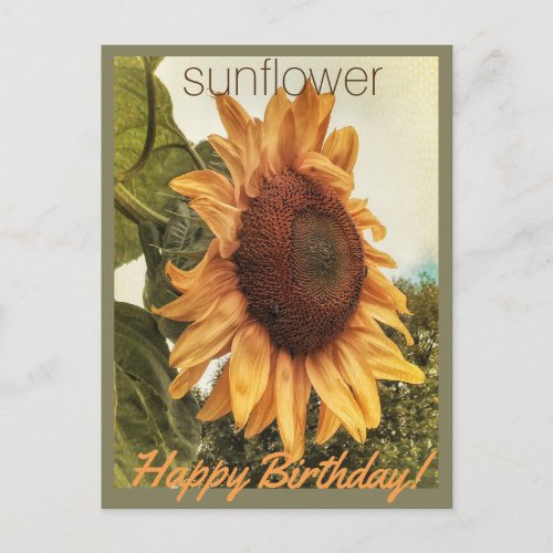 Sunny Birthday Wishes Postcard