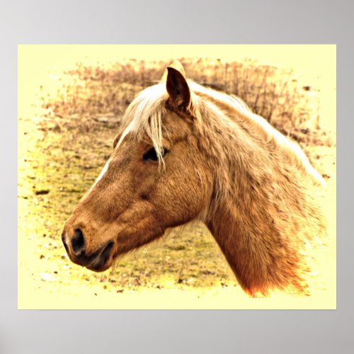 Sunny Blonde and Brown Horse Animal Poster
