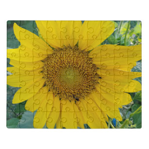 Sunny Bloom: The Giant Sunflower Puzzle