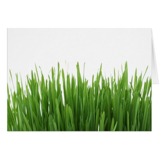 Sunny bright green grass photograph print (Front Horizontal)