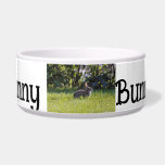 Sunny Bunny  Bowl<br><div class="desc">rabbit</div>
