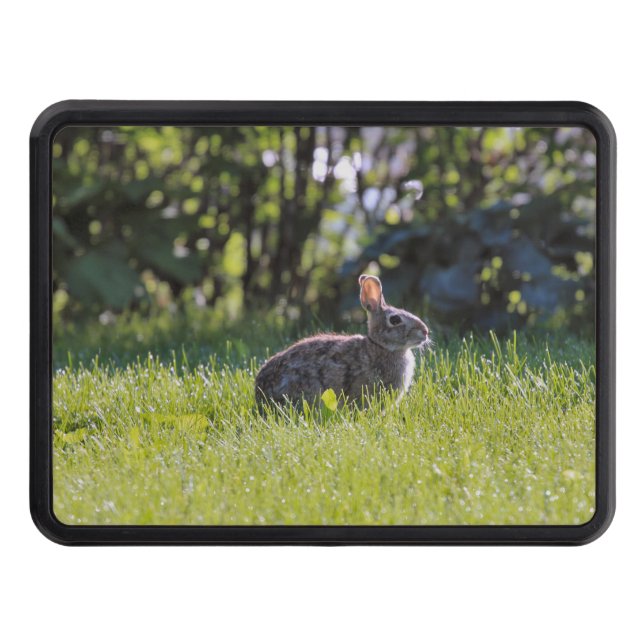 Sunny Bunny Hitch Cover (Front)