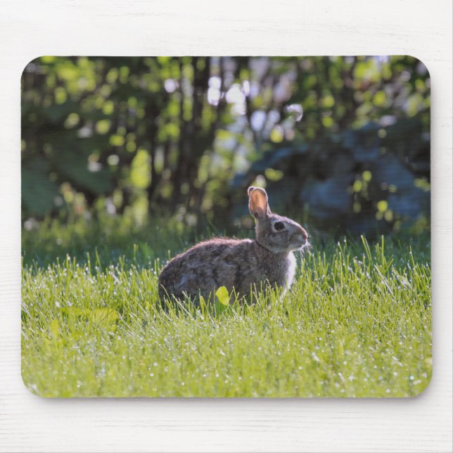 Sunny Bunny  Mouse Pad (Front)