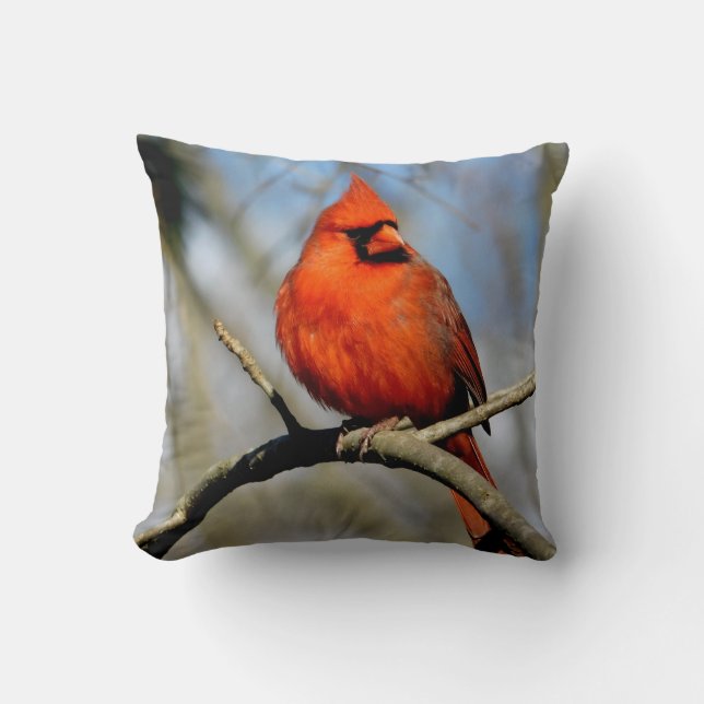 Sunny Cardinal Crest Pillow (Front)