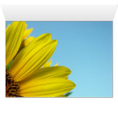 Sunny Cards (Inside Horizontal (Bottom))