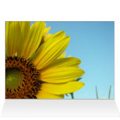 Sunny Cards (Inside Horizontal (Top))