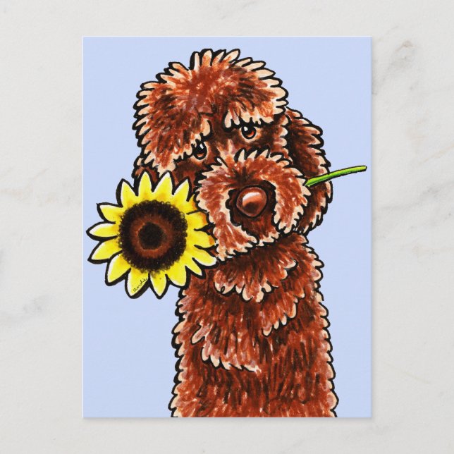 Sunny Chocolate Labradoodle Off-Leash Art™ Postcard (Front)