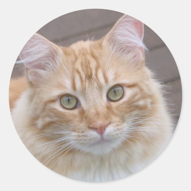 Sunny Classic Round Sticker (Front)