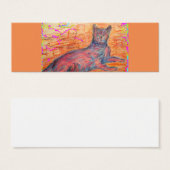 sunny cobblestone cat (Front & Back)