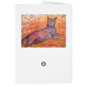 sunny cobblestone cat (Back)