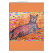 sunny cobblestone cat (Front)