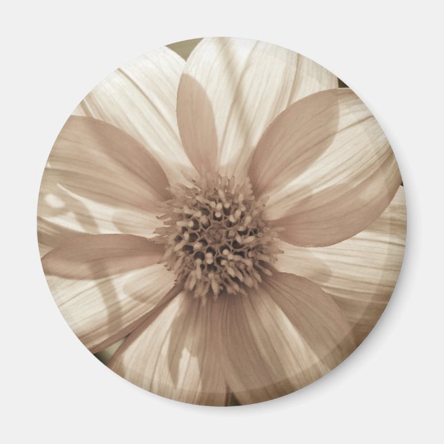 Sunny Dahlia Magnet (Front)