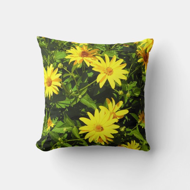 Sunny Daisy Garden Pillow (Front)