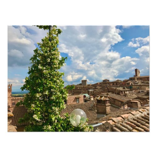 Sunny Day Among the Rooftops in Siena Italy Photo Print