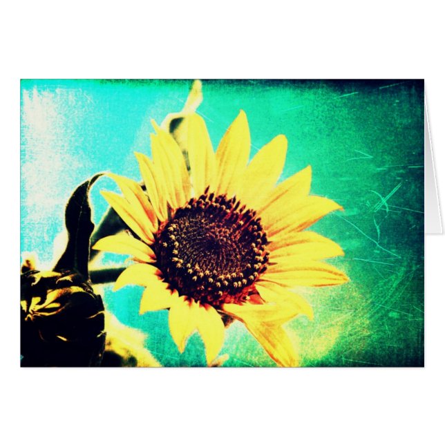 Sunny Day Cards (Front Horizontal)