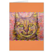 sunny day cat (Front)