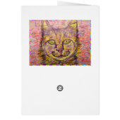 sunny day cat hey (Back)