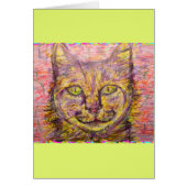 sunny day cat hey (Front)