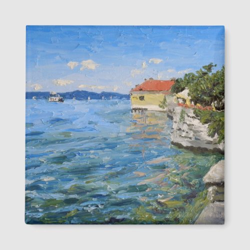 Sunny Day on Lake Constance Southern Germany Magnet