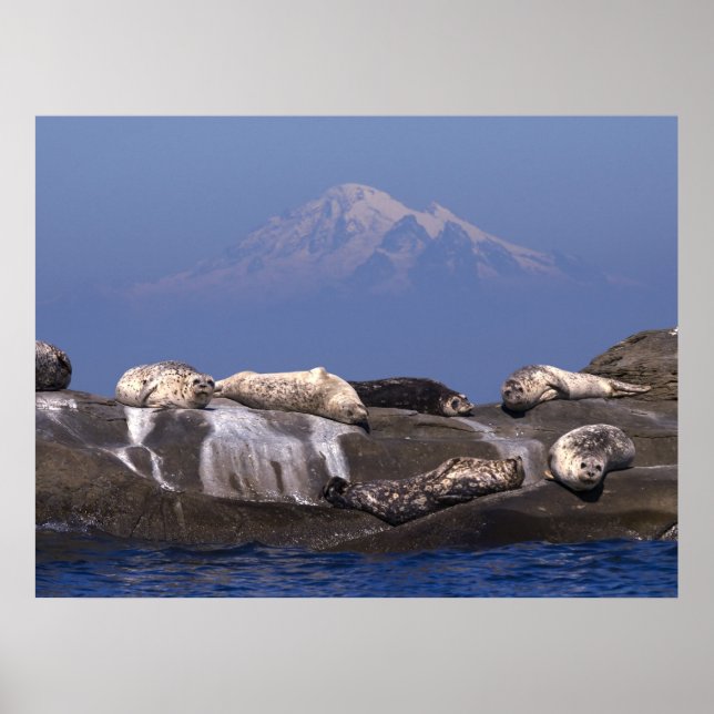 Sunny Days Are Here Again - Fine Art Prints (Front)