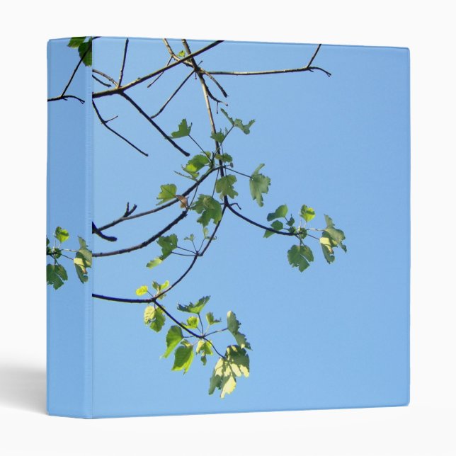 Sunny Days Binder (Front/Spine)