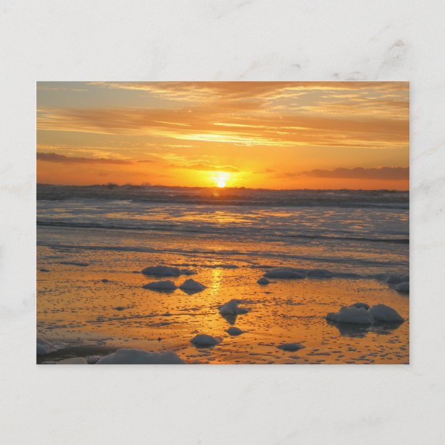 Sunny Days Postcard (Front)