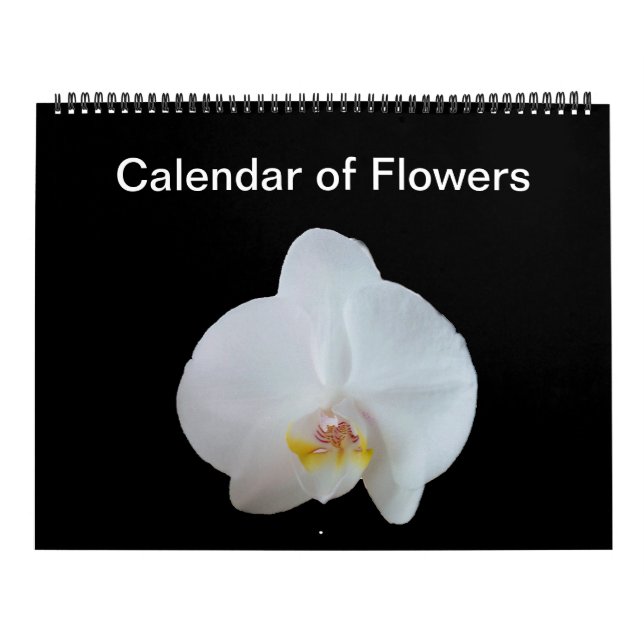 Sunny Daze Photo Calendar of Flowers (Cover)