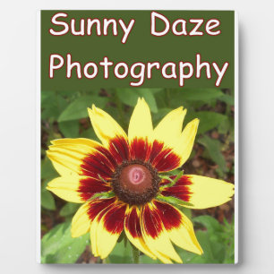Sunny Daze Photography Logo Plaque