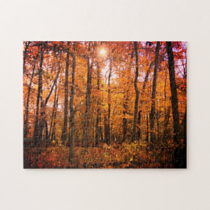Sunny Fall Woods Jigsaw Puzzle
