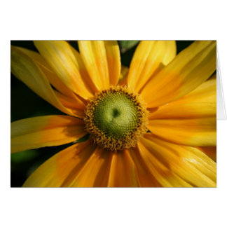 Sunny Flower Cards