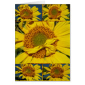 Sunny Flowery Sunshiney Day (Front)