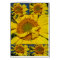Sunny Flowery Sunshiney Day