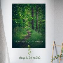 Sunny forest path