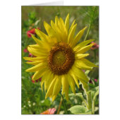 Sunny Garden - Sunflower (Front)