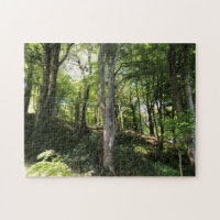 Sunny Glade. Sunbeams in woodland scenery.  Jigsaw Puzzle