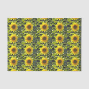 Sunny Gold Sunflower Tissue Paper
